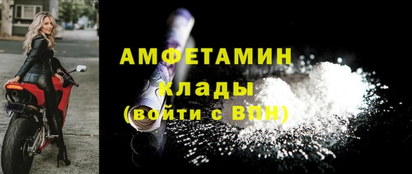 мдпв Бородино