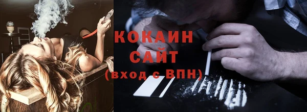 мдпв Бородино