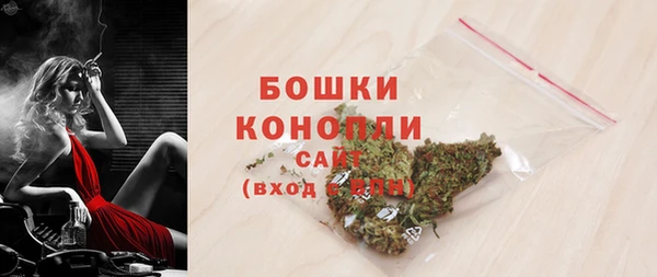 мдпв Бородино