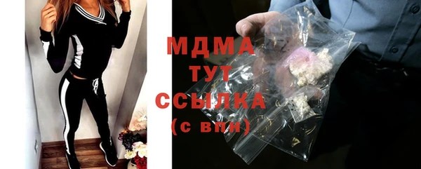мдпв Бородино