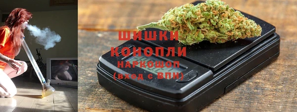 мдпв Бородино