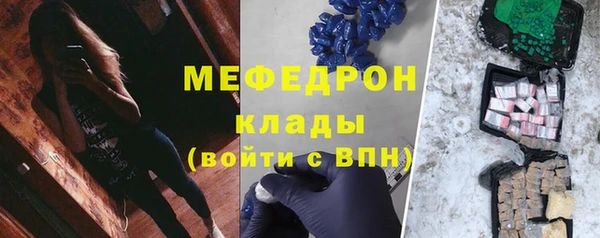 мдпв Бородино